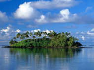 Dharmadam island 