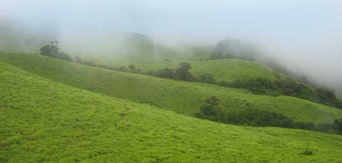 Pythalmala Hillstation